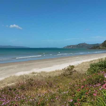 Waimaire Matarangi Bed & Breakfast Екстериор снимка